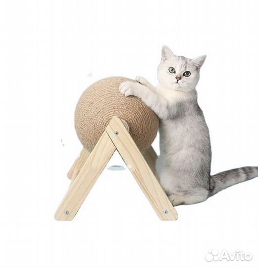 Когтеточка