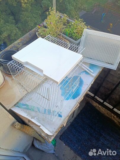 Клеточка для волнистика