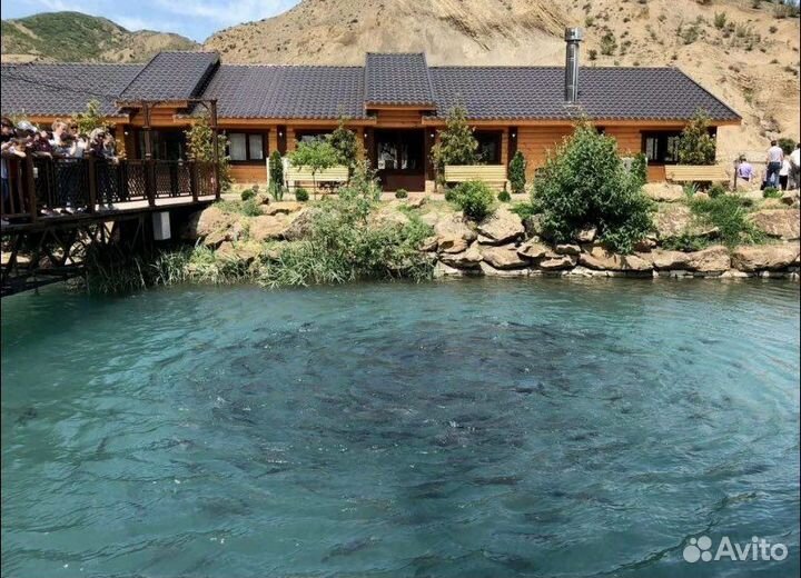 Трансфер по дагестану