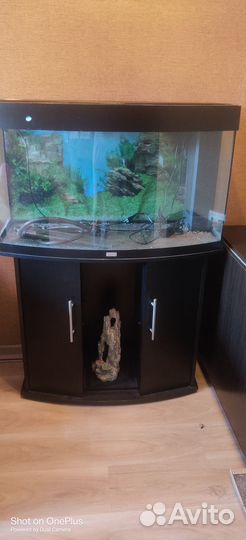 Аквариум juwel vision 180 с тумбой