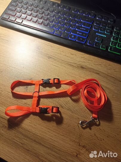 Шлейка для кота или маленькой собачки