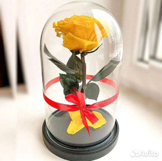 Живая роза в колбе