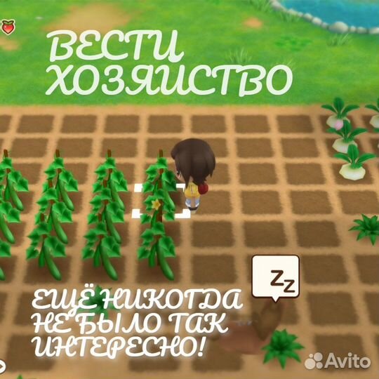 Story of Seasons - Friends Of Mineral Town, англ