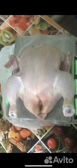 Курица бройлер