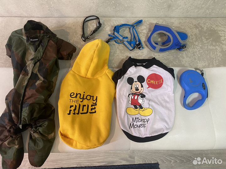 Одежда для собаки