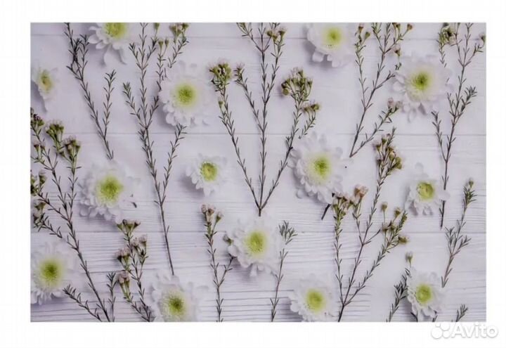 Фотофоны виниловые