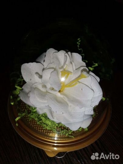 Розы в колбе