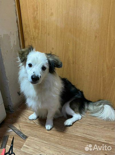 Ищем добрые рукн