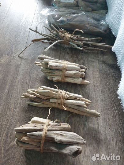 Морские коряги