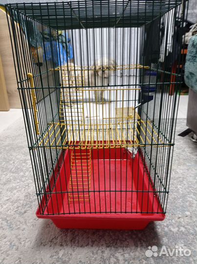 Клетка для грызунов бу
