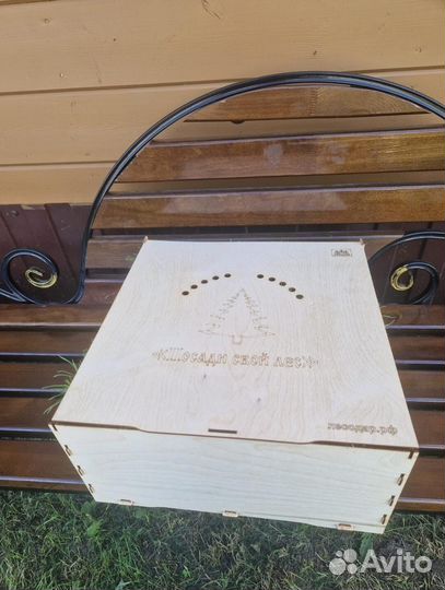 Сеянцы сосны зкс опт