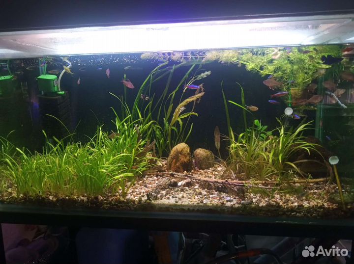 Аквариум