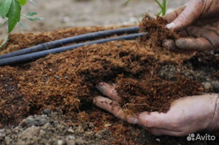 Торфогрунт