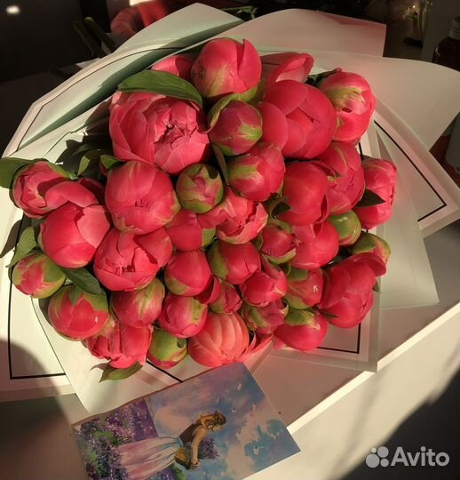 Пионы цветы букеты