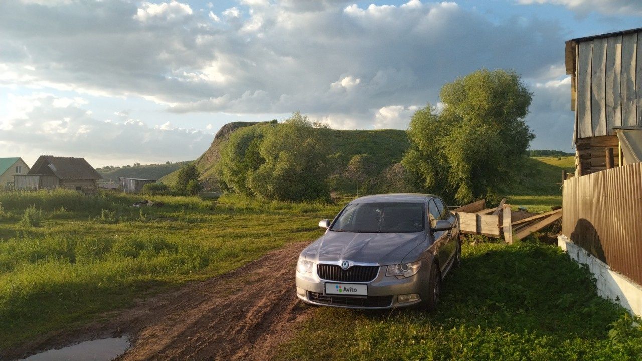 Skoda Superb: фото владельца