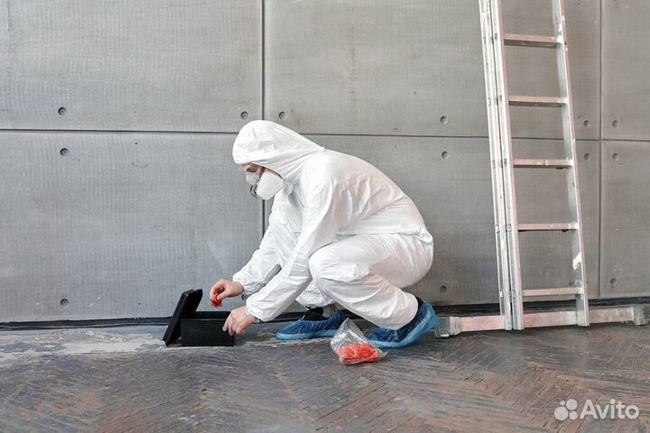 Уничтожение клопов тараканов дезинфекция