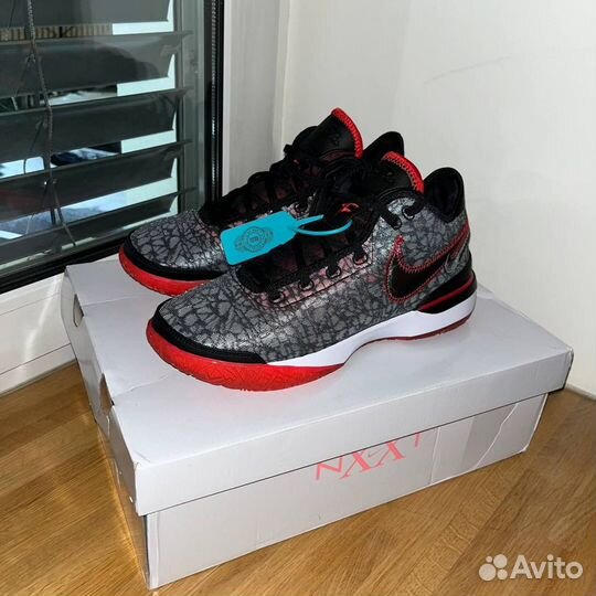 Баскетбольные кроссовки Nike Lebron nxxt Gen Ep