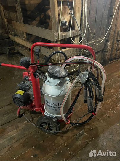 Доильный аппарат Melasty