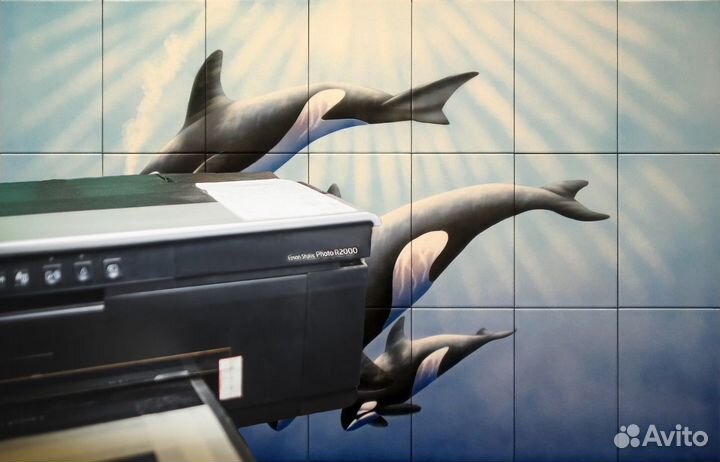 Принтер: Epson Stylus Photo R2000 головка (DX-5)