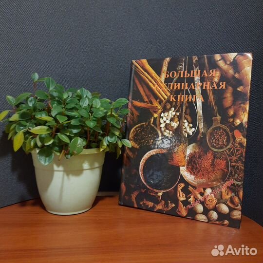 Большая кулинарная книга