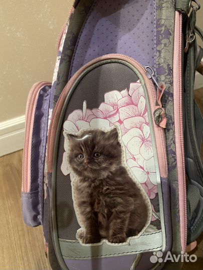 Школьный портфель (ранец, рюкзак) для девочек