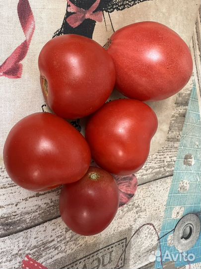 Помидоры