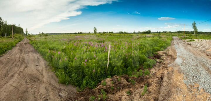 Участок 36 сот. (СНТ, ДНП)