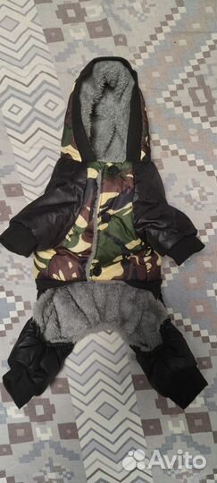 Одежда для маленьких собак