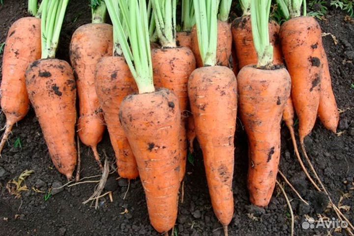 Картофель деревенский доставка бесплатно, овощи