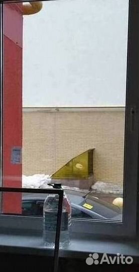 Окна быстро за день