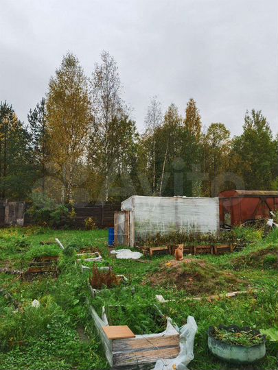 Участок 6 сот. (СНТ, ДНП)