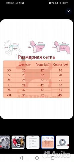 Одежда для маленьких собак м