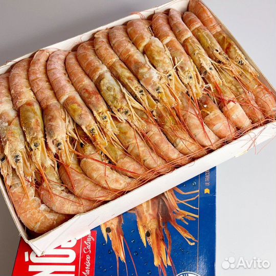 Креветка лангустин