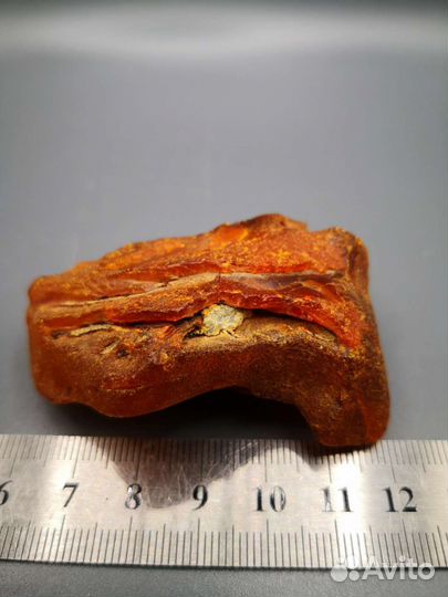 Янтарь балтийский, самородок