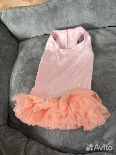 Одежда для собак