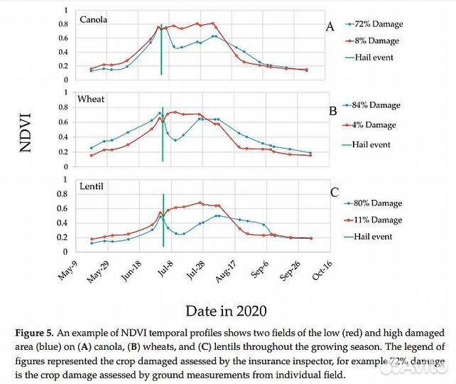 Гиперспектральные данные 400-1000нм -обработка
