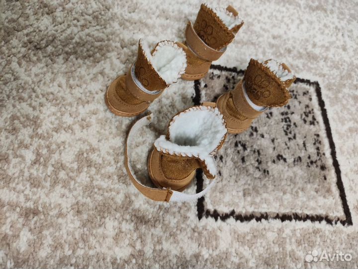 Обувь для маленьких собак