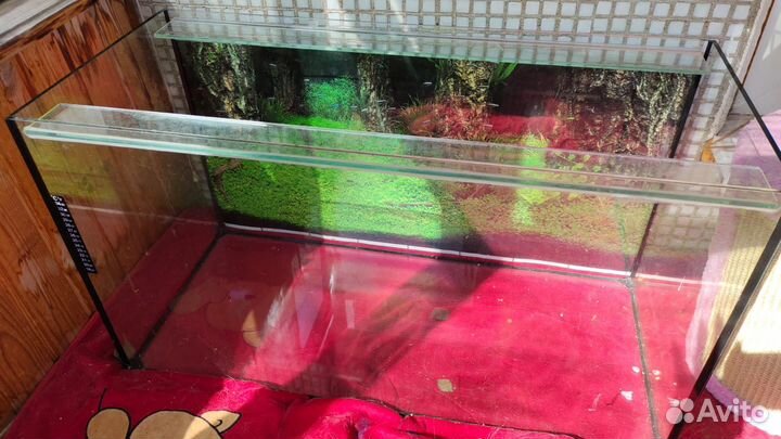 Аквариум без крышки большой