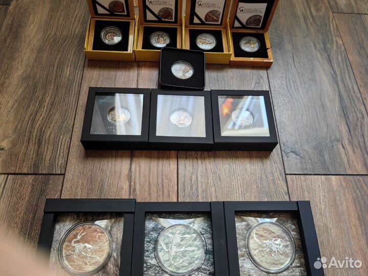 Коллекция монет Evolution life