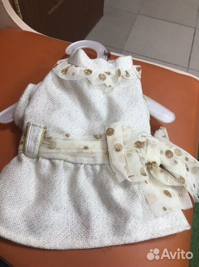 Одежда для собак мелких пород