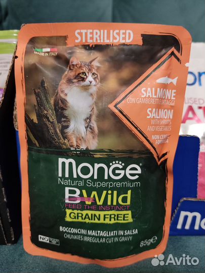 Влажный корм для кошек monge, proplan, royal canin