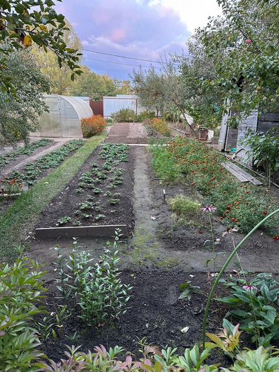 Дача 27,9 м² на участке 3 сот.