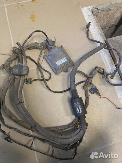 Газовое оборудование 4 поколения lovato