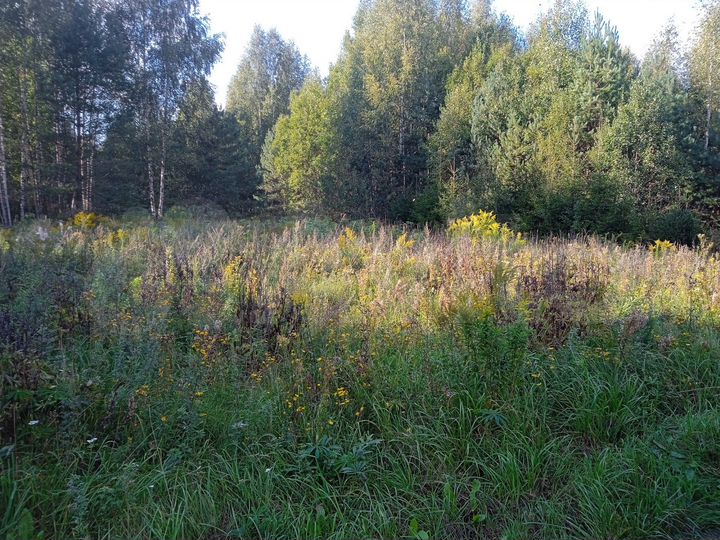 Участок 15 сот. (СНТ, ДНП)