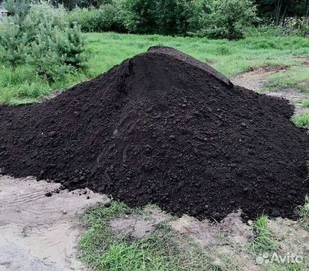 Чернозем