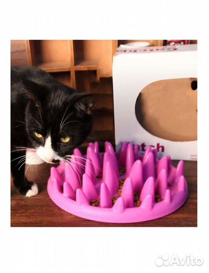 Интерактивная кормушка для животных