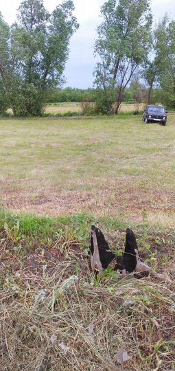 Участок 7 сот. (ИЖС)