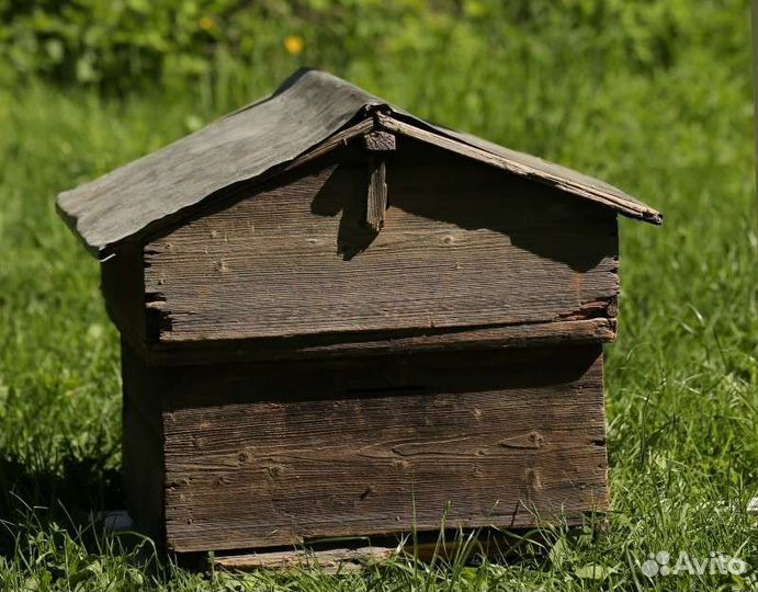 Улей для пчел