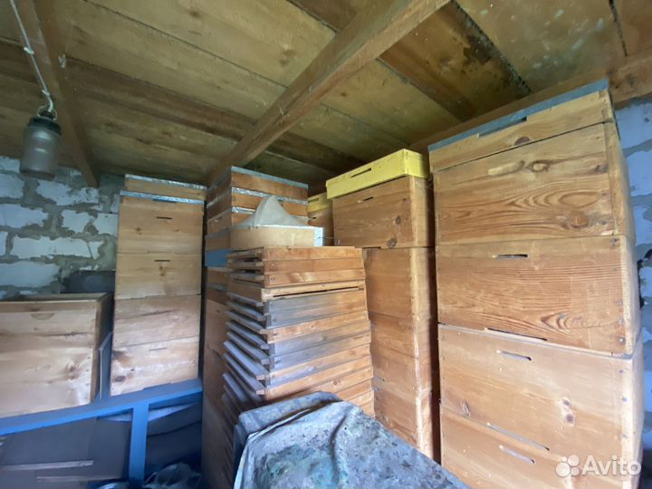 Ульи дадан 12 рамочный