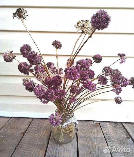 Лишайник уснея и др природные материалы